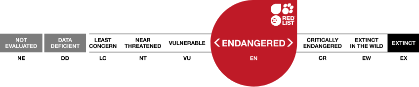 IUCN Red List endangered 