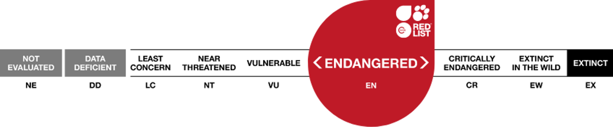 Image of iucn endangered