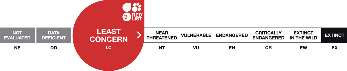 Image of red list scale 3 least concern