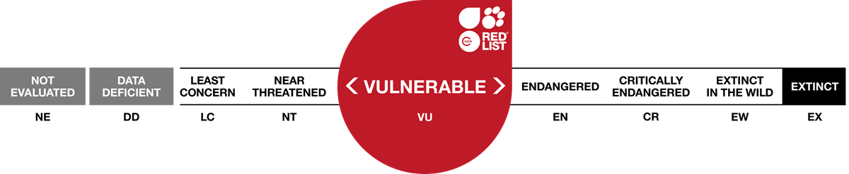 Red List Vulnerable 