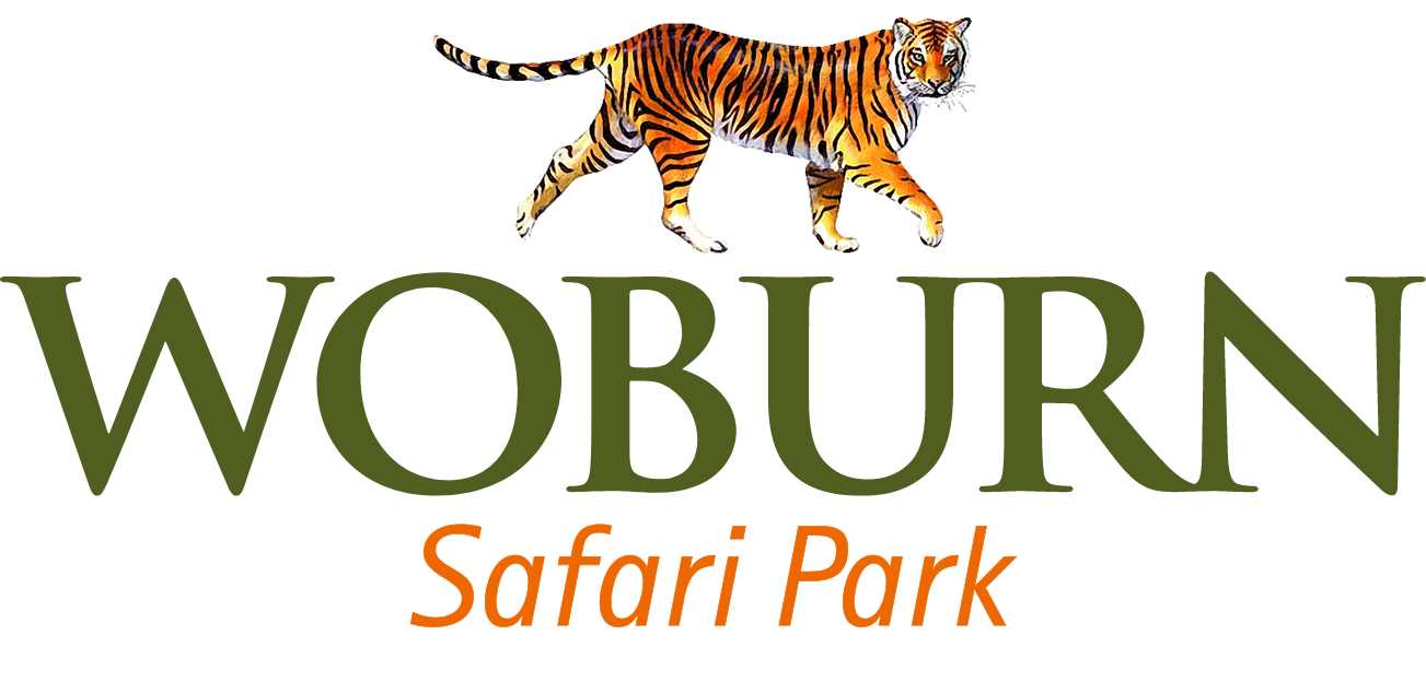 Book Your Adventure Today | Woburn Safari Park