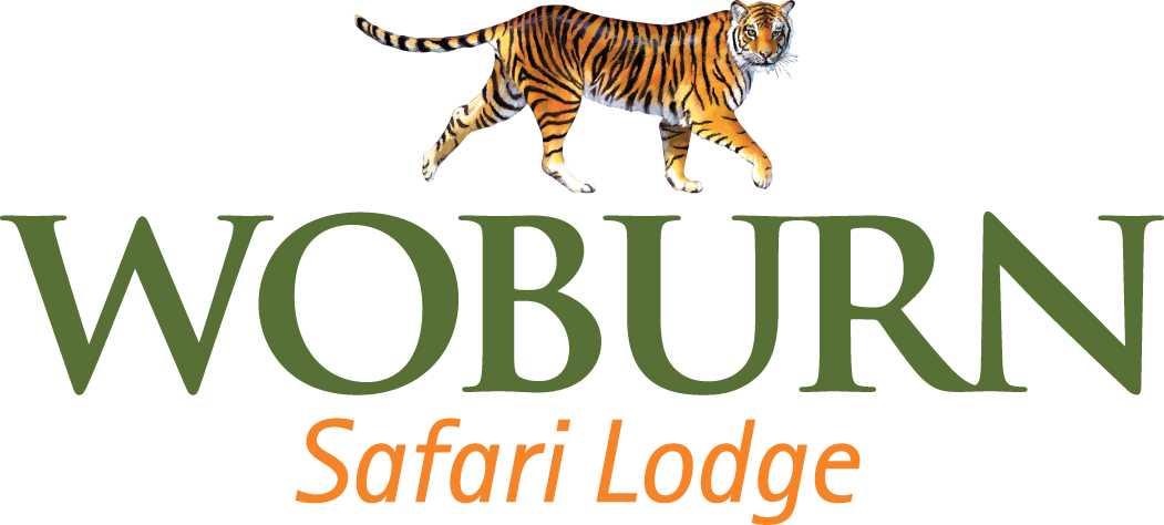 safari lodge woburn safari park