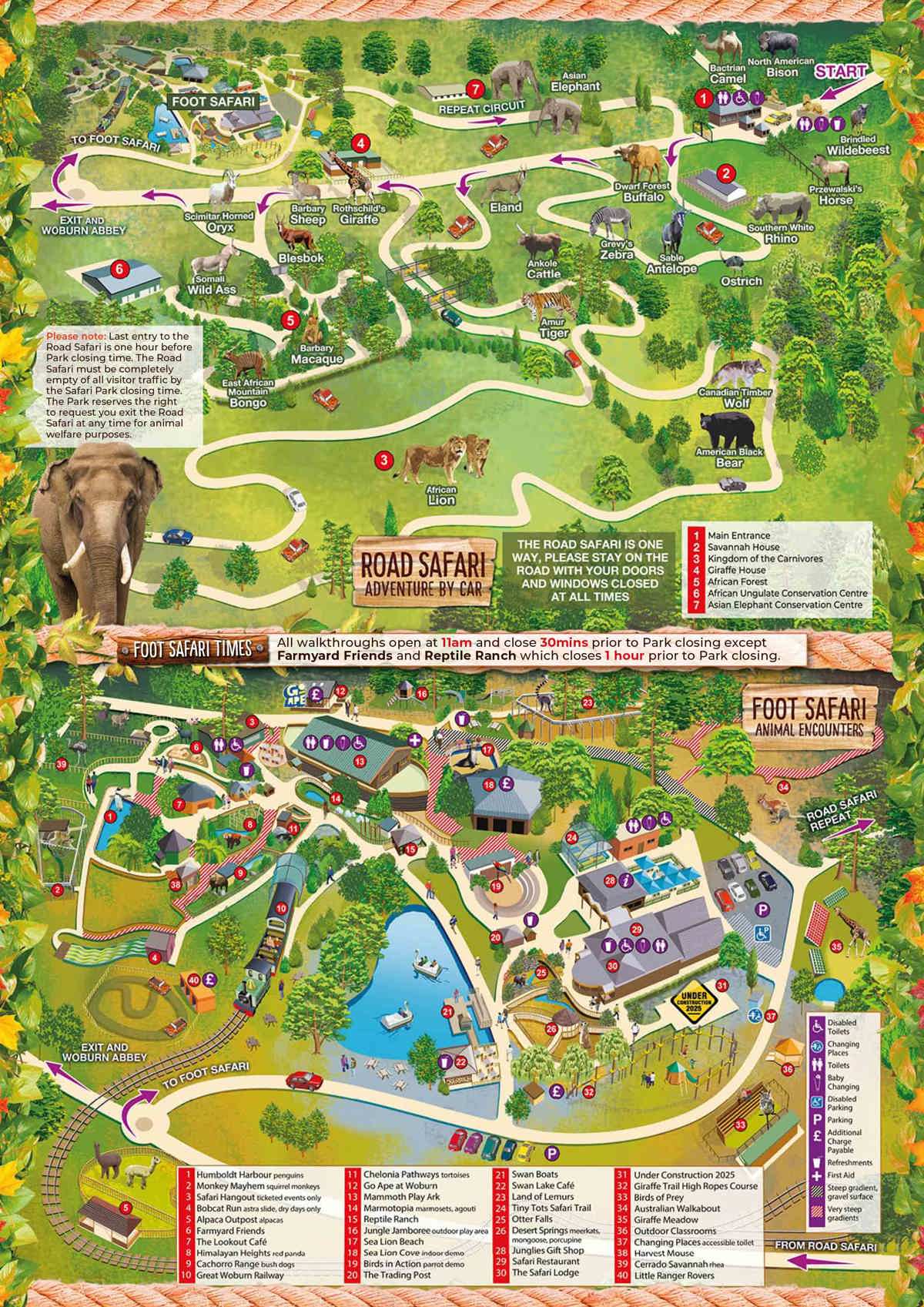 Image of foot and road saf map sept oct2025