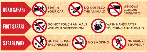 walking safari safety rules