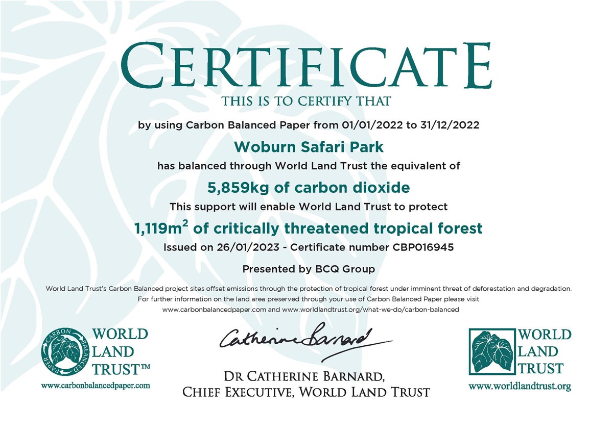 Carbon balanced paper certificate